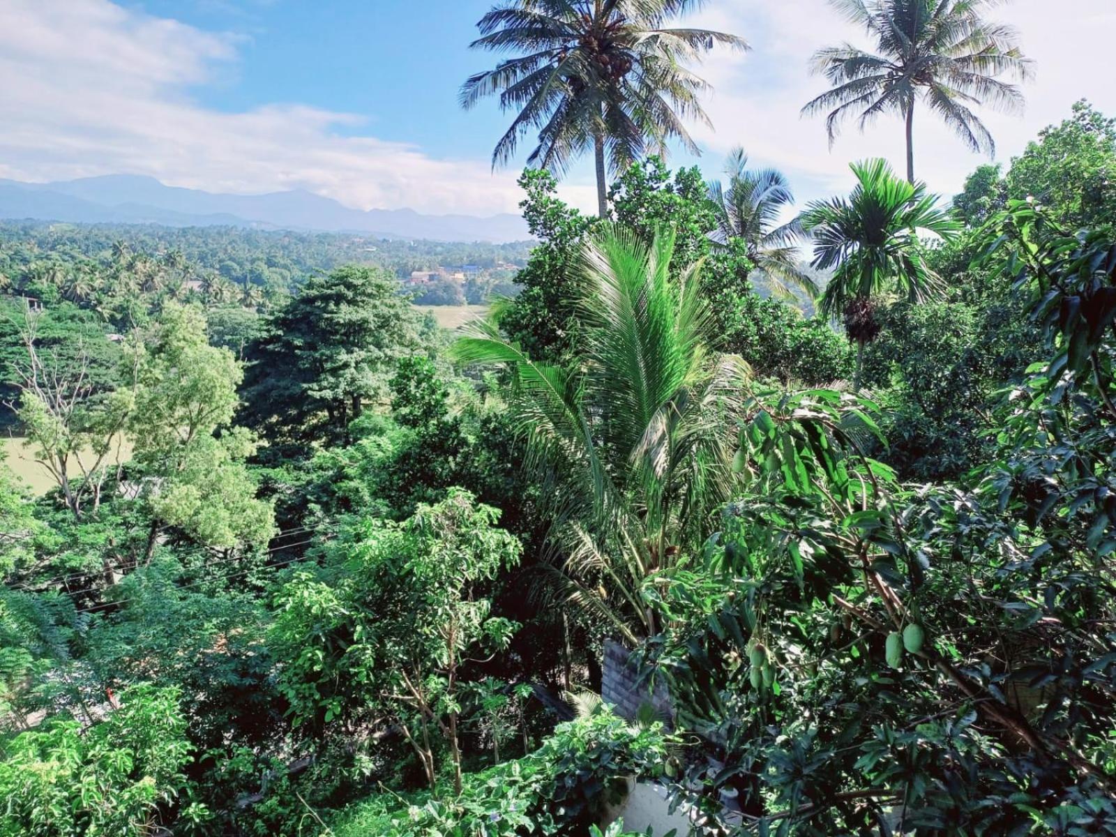 The Traveller Kandy Exterior photo
